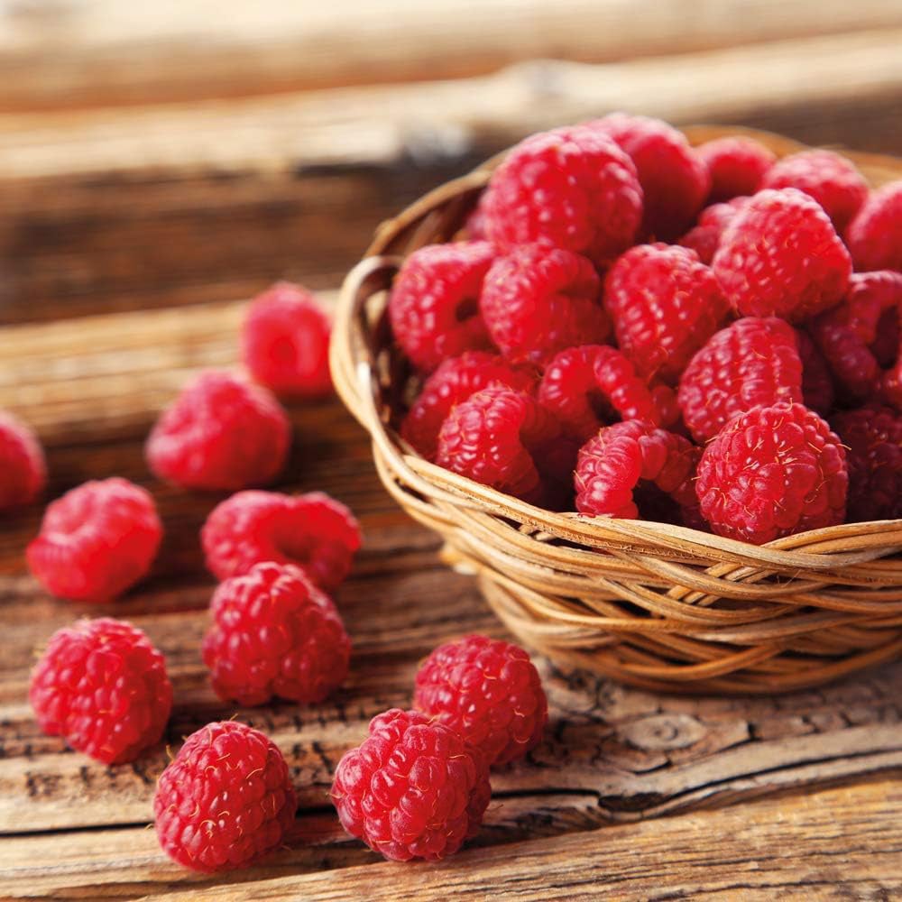 Thompson & Morgan Organic Raspberry Autumn Bliss Potted Plant 2L Image 2