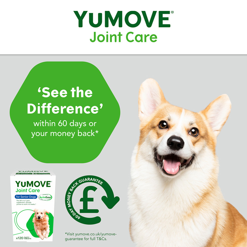 YuMOVE Senior Dog Joint Supplements Image 2