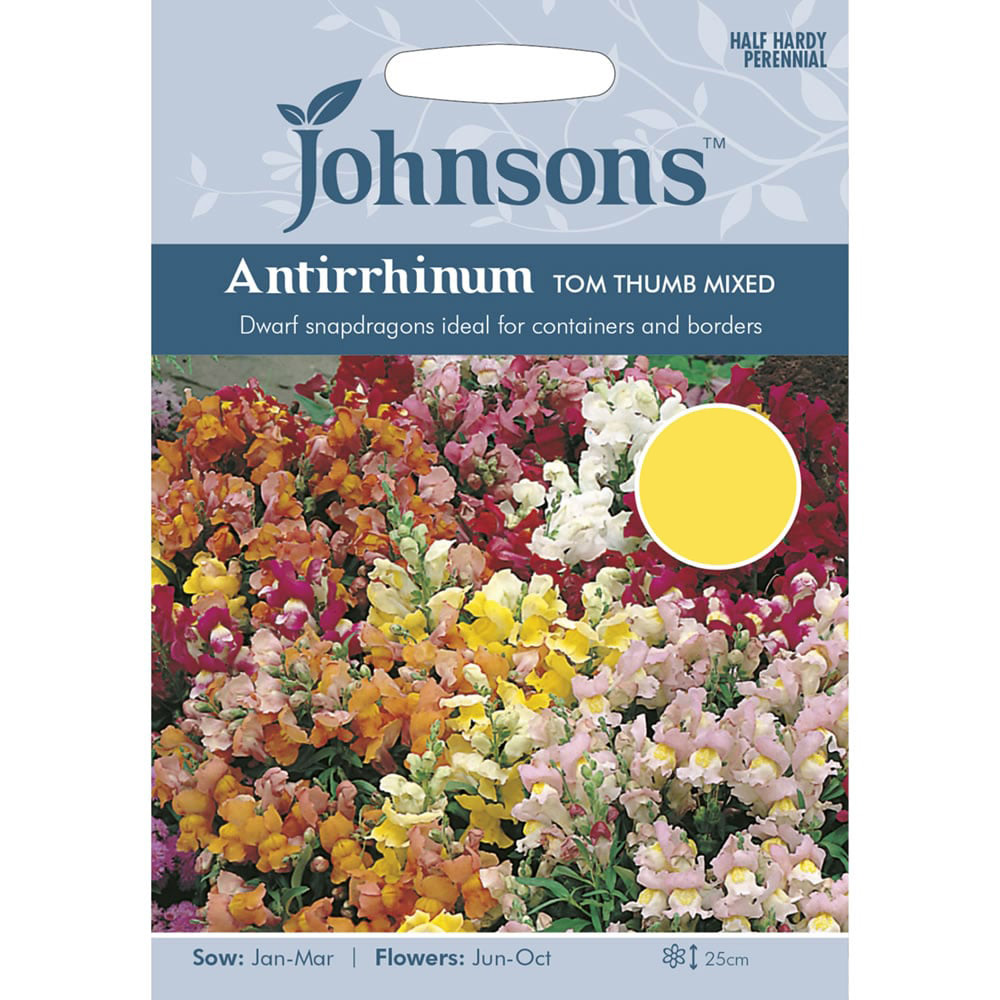 Johnsons Antirrhinum Tom Thumb Flower Seeds Image 2