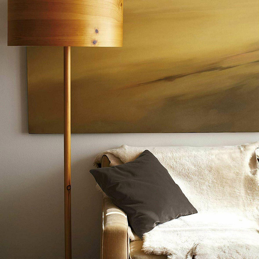 Dylon Espresso Brown Washing Machine Fabric Dye Pod 350g Image 2