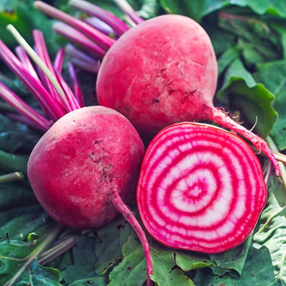 Thompson & Morgan Beetroot Chioggia Seeds Image 1