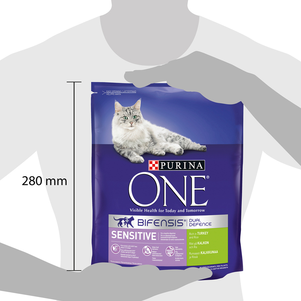 Purina ONE Turkey and Rice Adult Dry Cat Food 800g Image 4