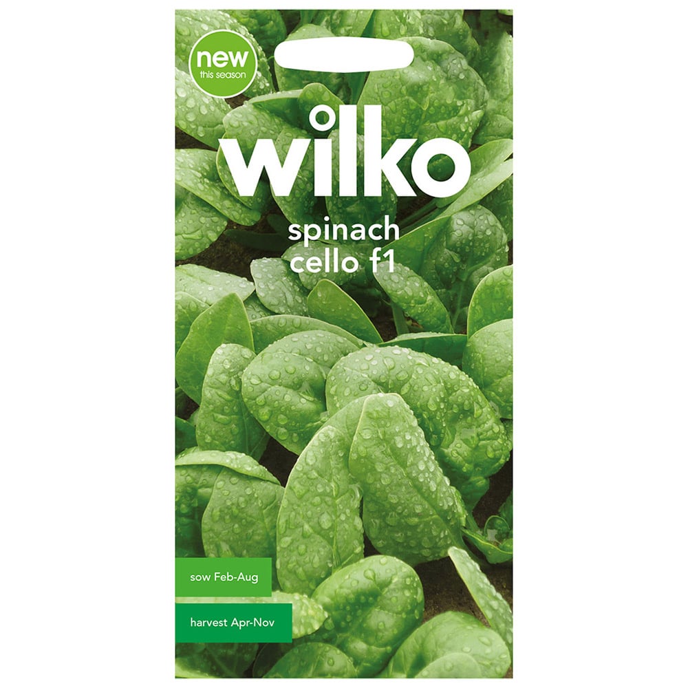 Wilko Spinach Cello F1 Seeds Wilko
