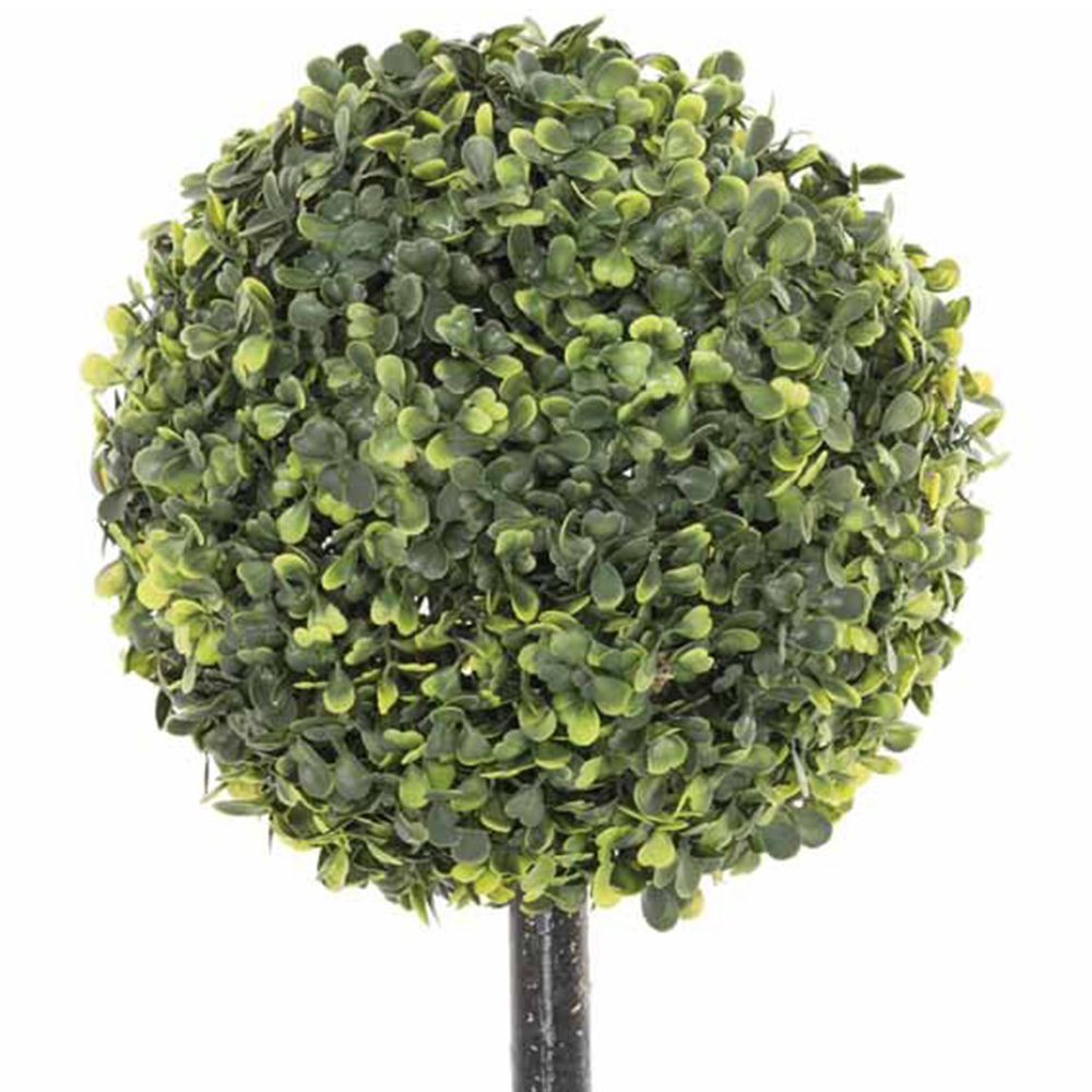 Boxwood Topiary Tree Ball Image 2