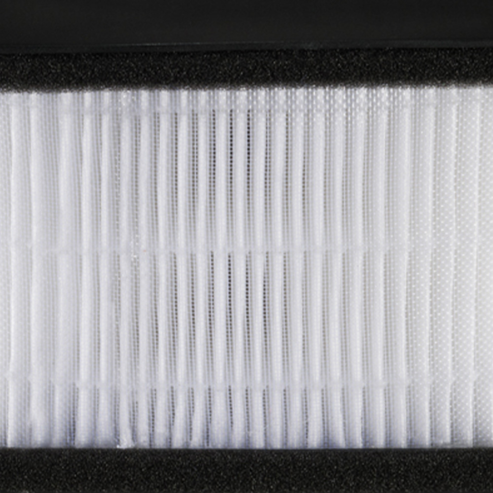 Avalla R-90  True HEPA Filter Image 5