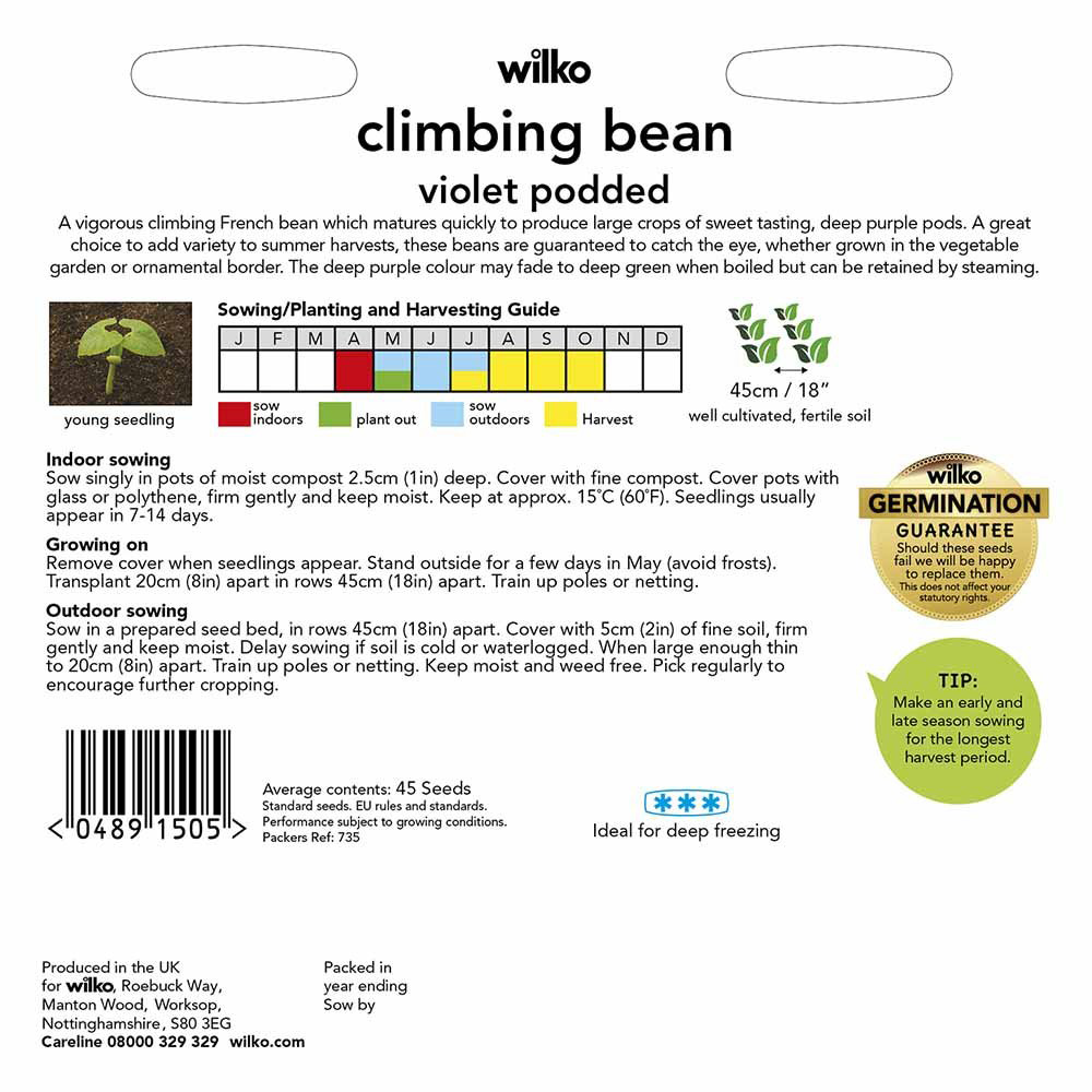Wilko Climbing Bean Violet Podded Seeds Image 3