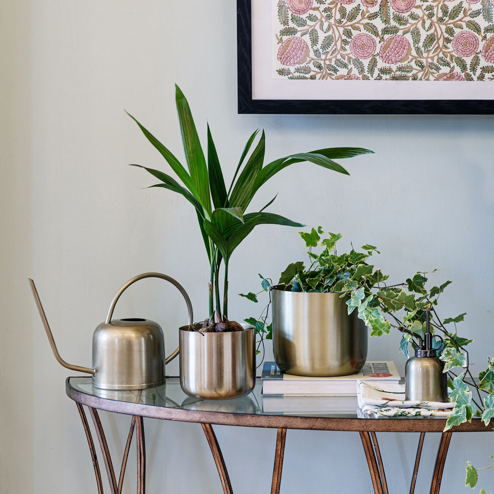 Ivyline Kew Matt Brass Plant Mister with Giftbox 14cm Image 7