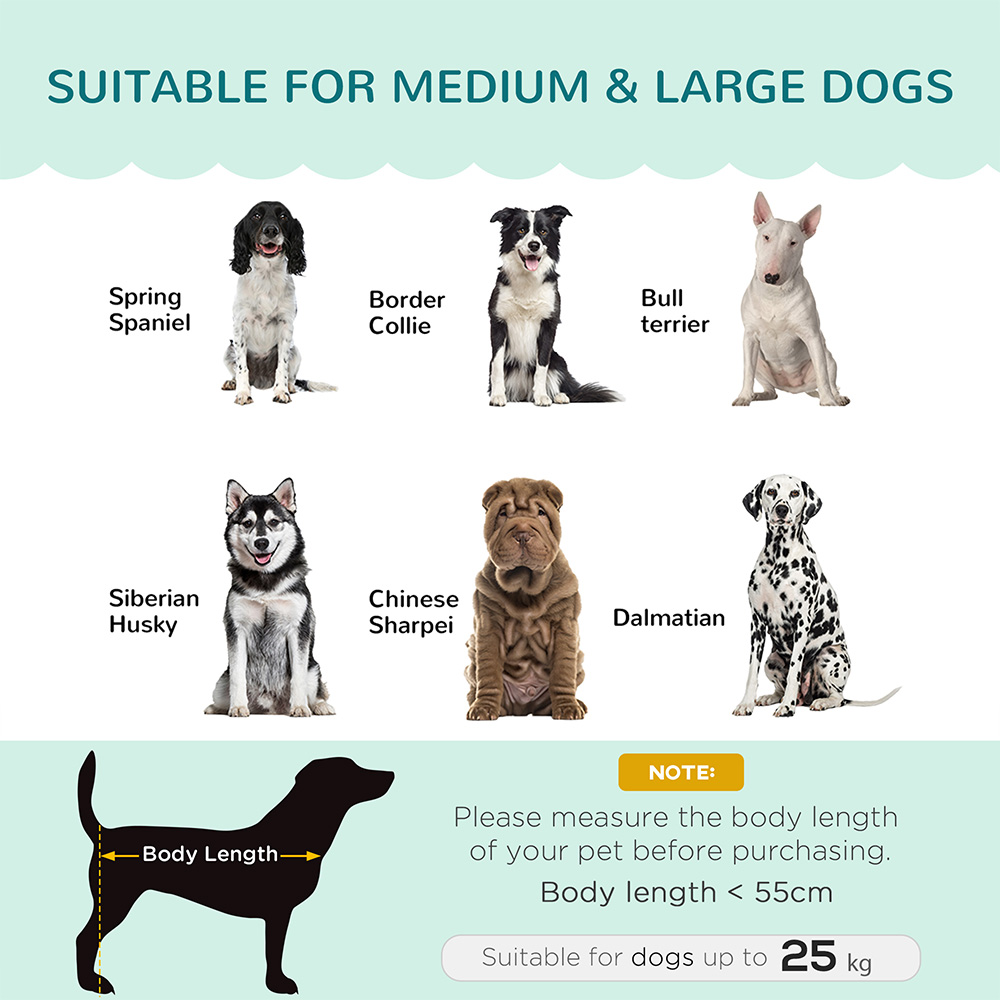 PawHut Green Medium and Large Dog Pet Sofa Bed Image 6