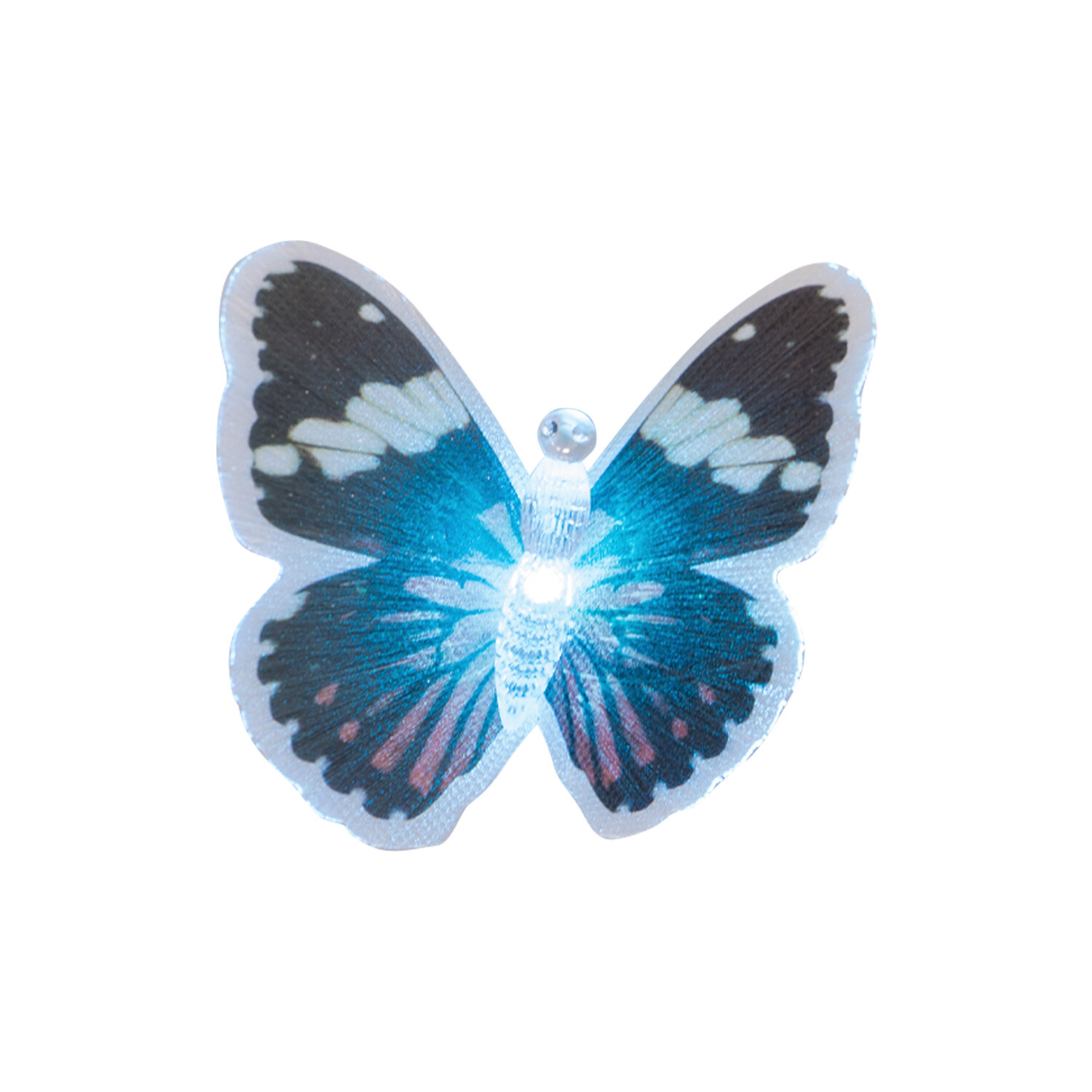 Colour Changing Butterfly Image 5
