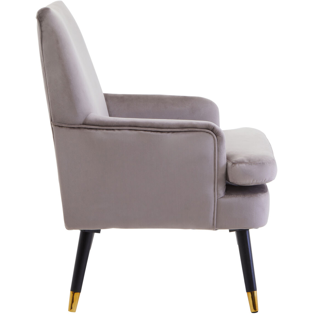 Premier Housewares Loretta Mink Velvet Accent Chair with Black Wooden legs Image 3