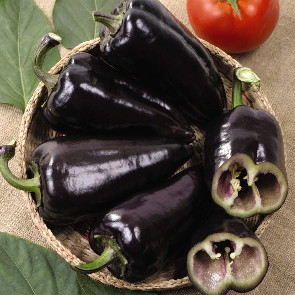 Thompson and Morgan Pepper Sweet Tasty Mix All Season Seeds Image 4