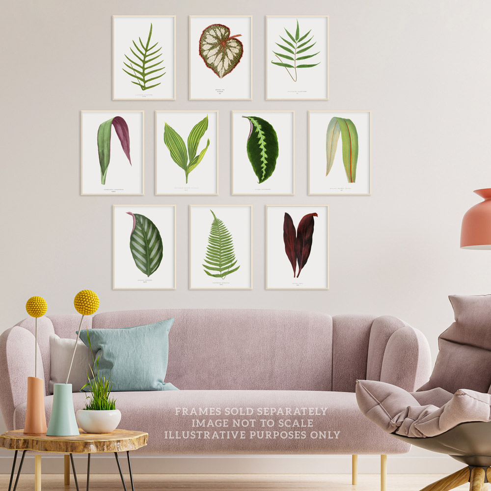 Wee Blue Coo Vintage Audubon Style Leaf Wall Art Print 30 x 41cm 10 Pack Image 2