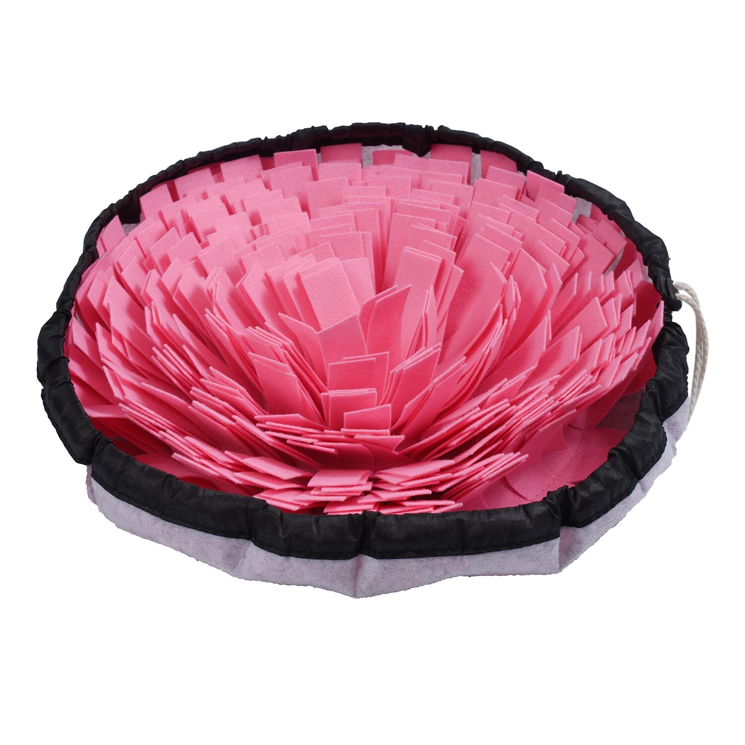 Snuffle Pet Bowl Image 5