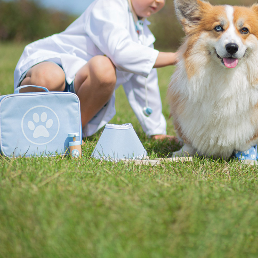 Bigjigs Toys Kids Wooden Veterinary Set Image 2