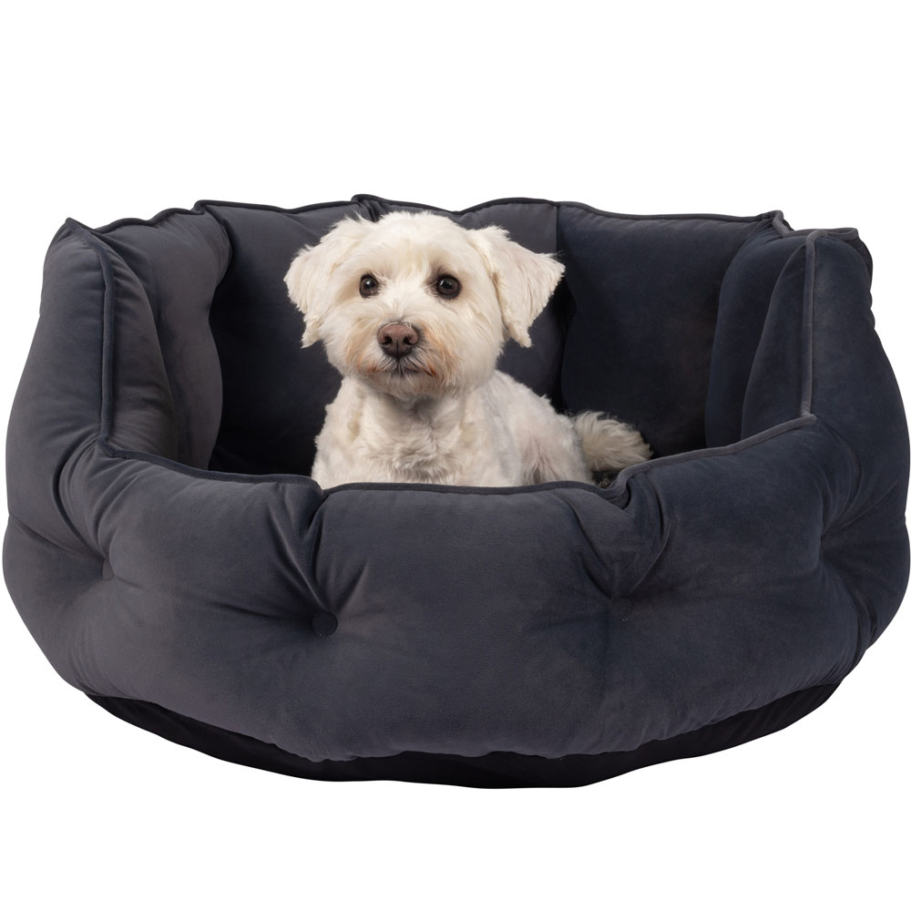 Bunty Monarch Medium Dark Grey Dog Bed Image 7