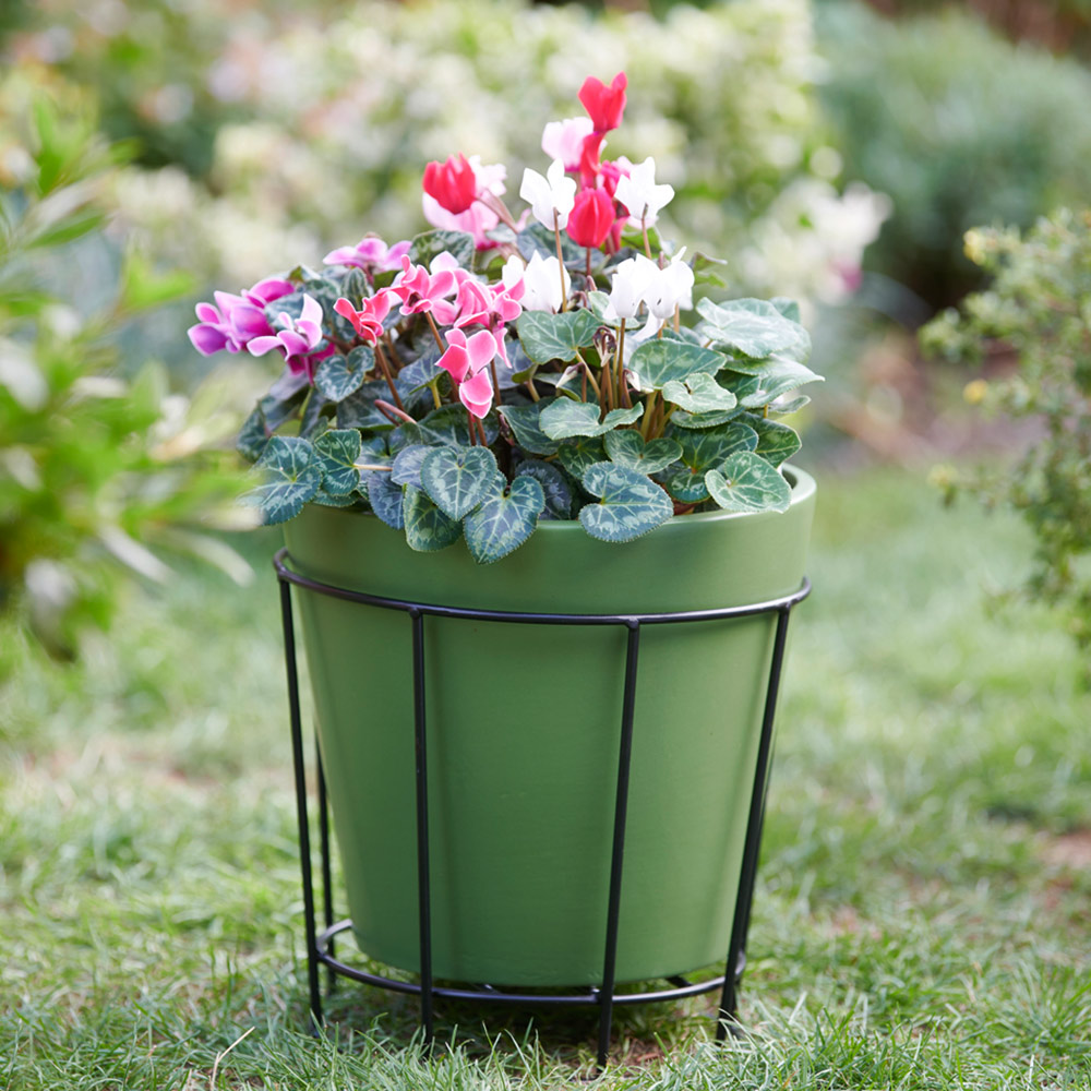 Wilko Indoor Outdoor Duo Plant Pot and Stand 25cm Wilko