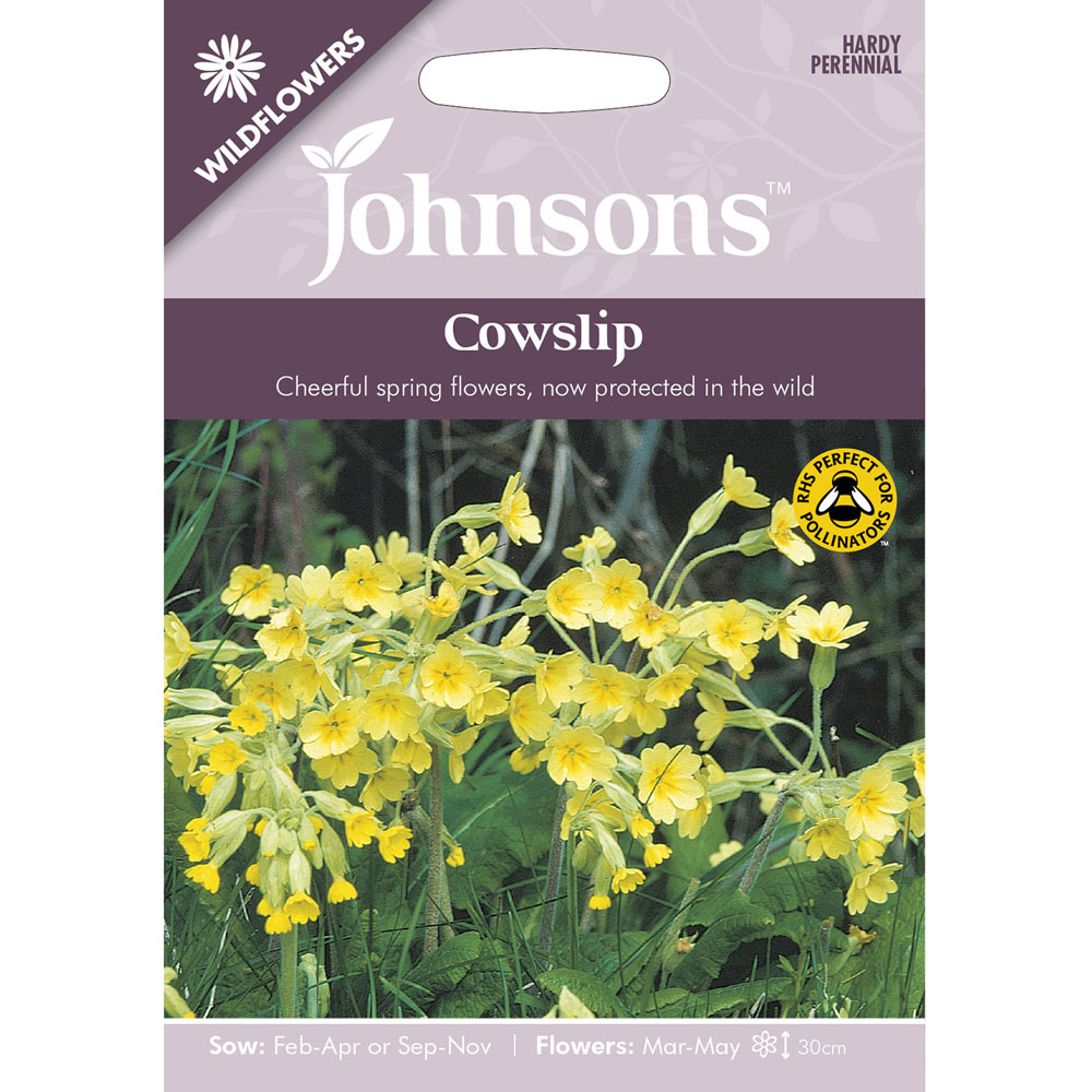 Johnsons Cowslip Wildflower Seed Image 2