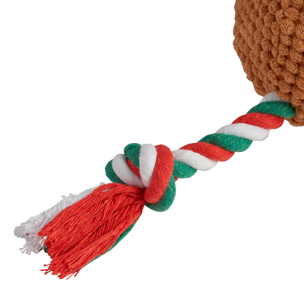 Christmas Turkey Dog Toy Image 3