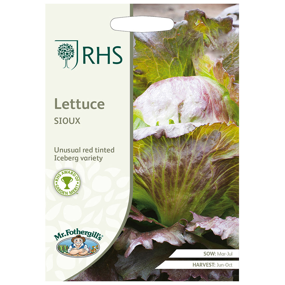 Mr Fothergills RHS Lettuce Sioux Crisphead Seeds Image 2
