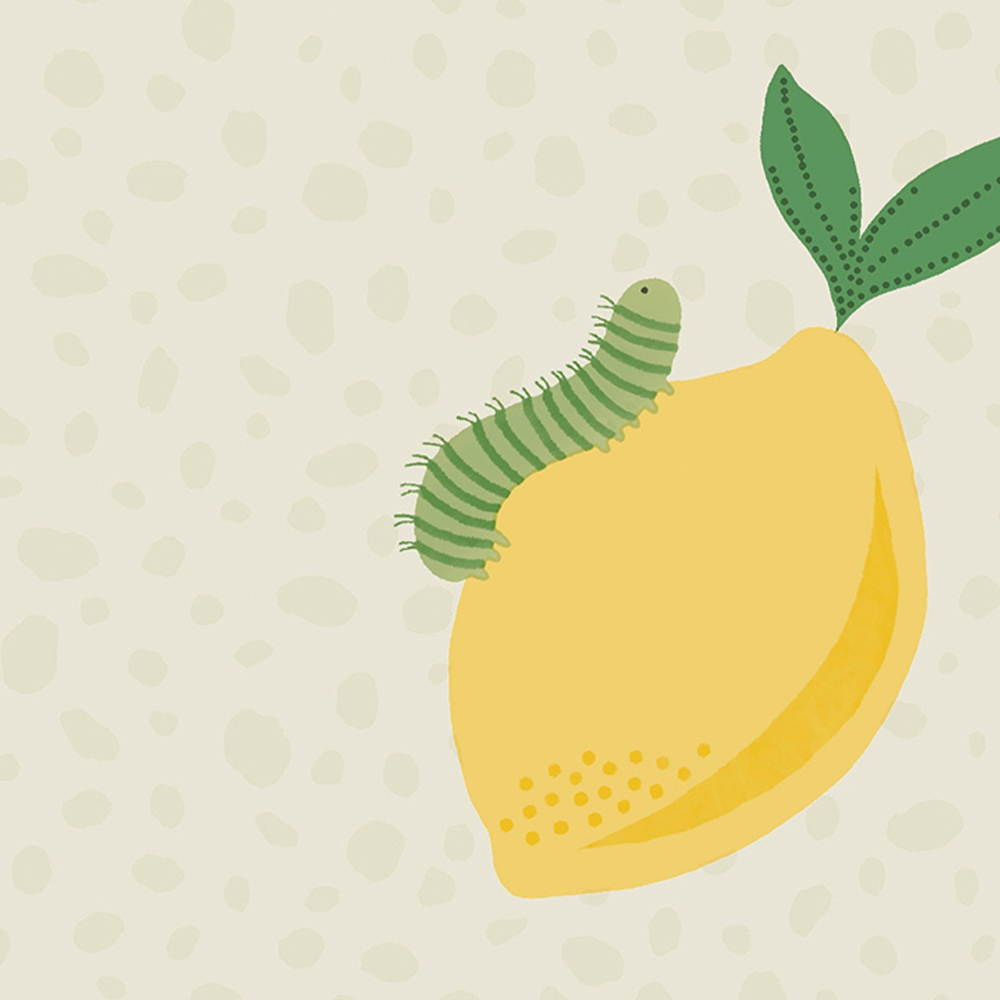 Holden Decor Tutti Fruity Cream Orange Wallpaper Image 4