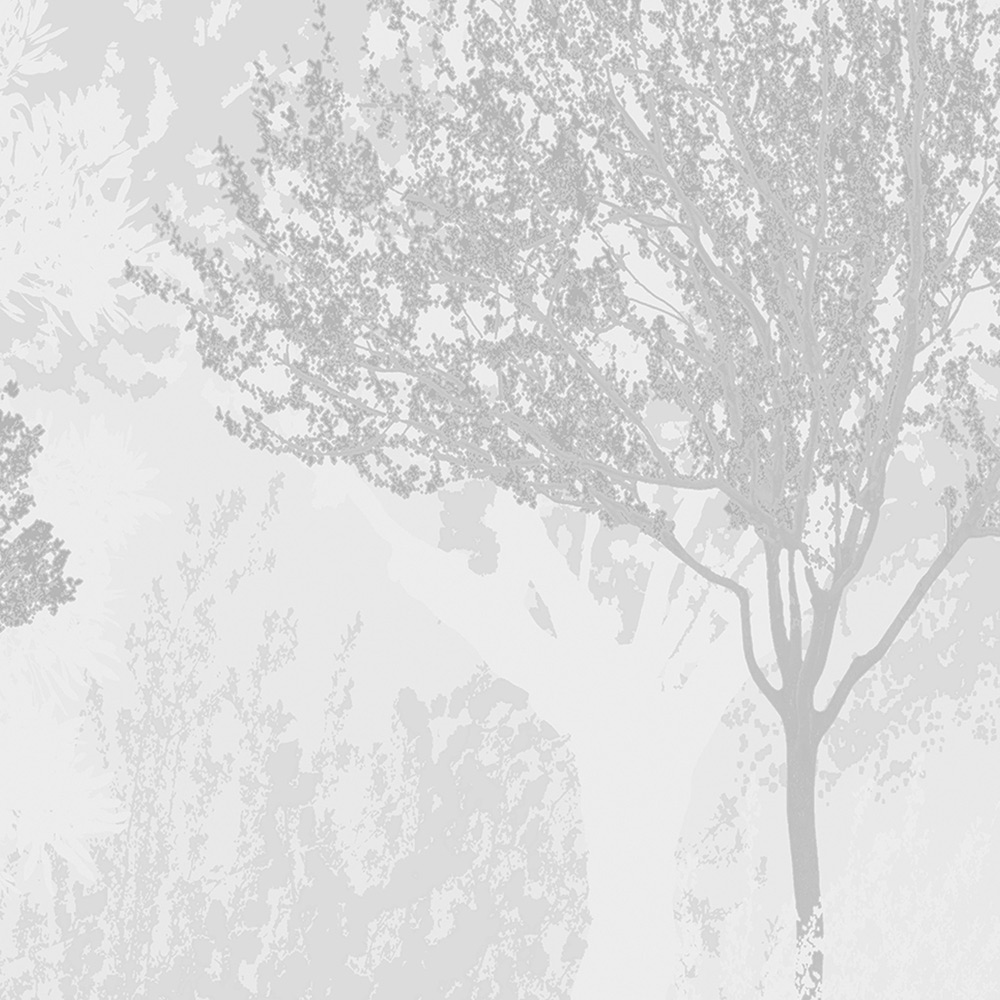 Superfresco Easy Birch Silver Wallpaper Image 3