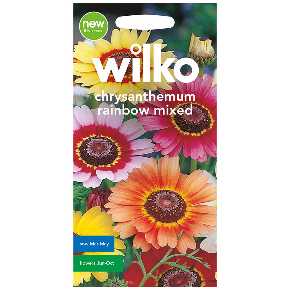 Wilko Chrysanthemum Rainbow Mixed Seeds Image 2