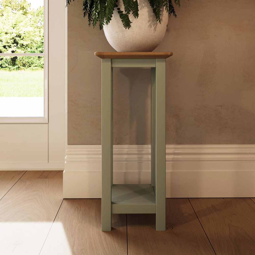 FWStyle Taberno Single Shelf Sage Green and Oak Side Table Image 6