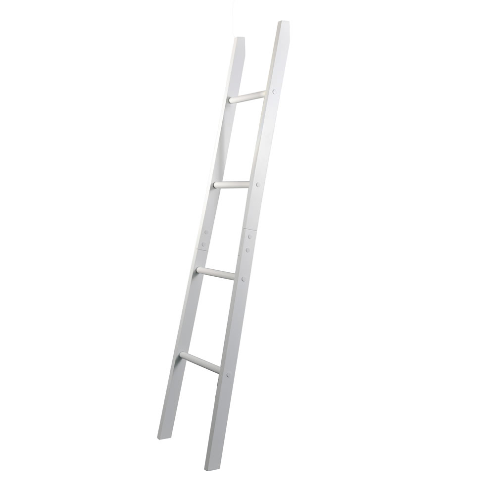 Alaska Ladder Towel Rail Image 2