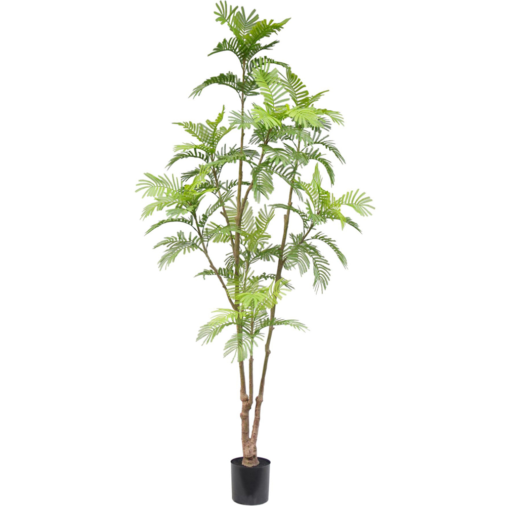 Botanik Spiny Date Palm Artificial Tree in Pot 8ft Image 1