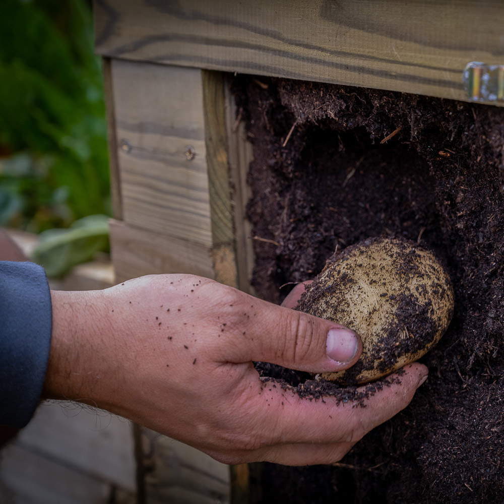 Forest Garden Wooden Outdoor Potato Planter Image 6