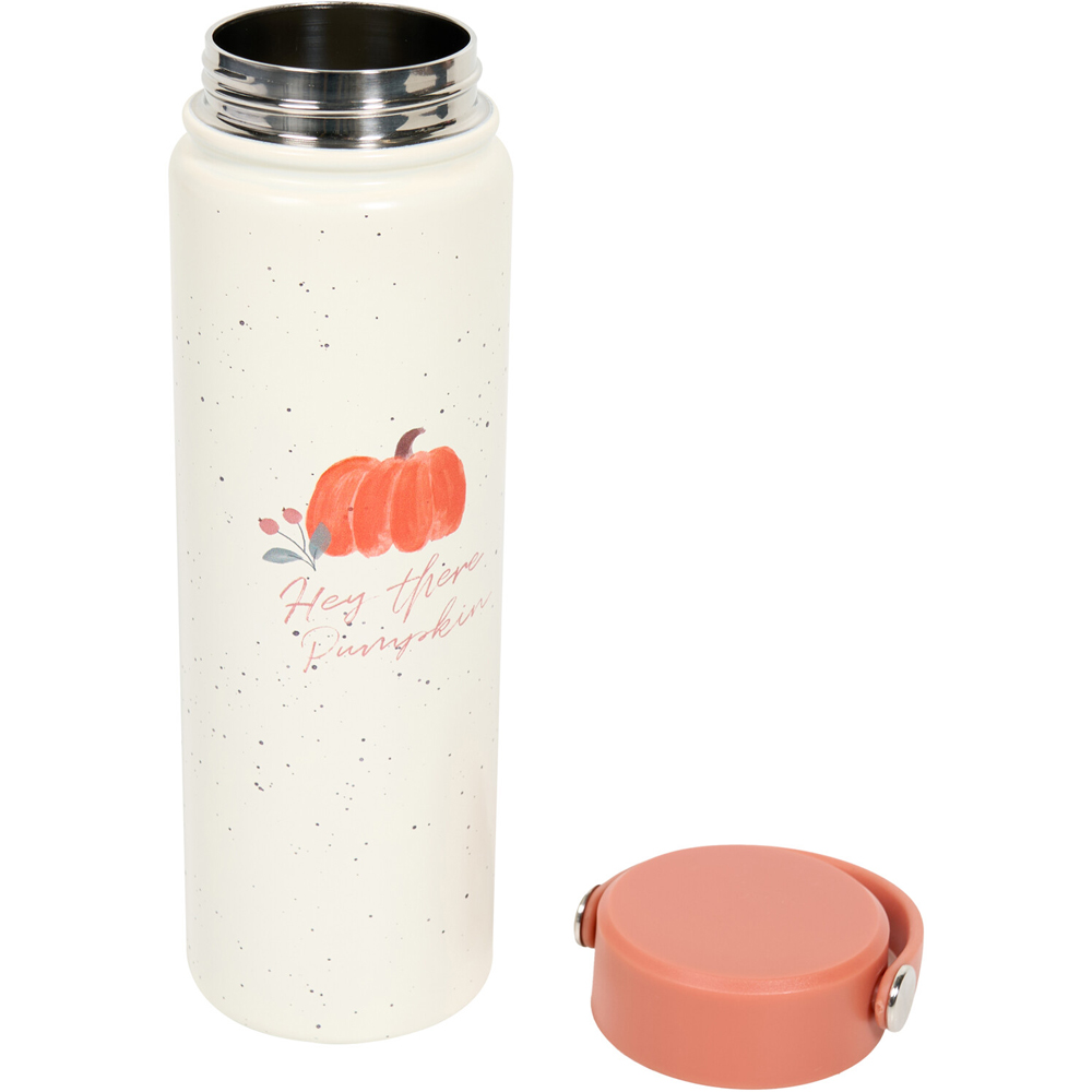 Autumn 2-in-1 Stainless Steel Flask and Bottle Image 6