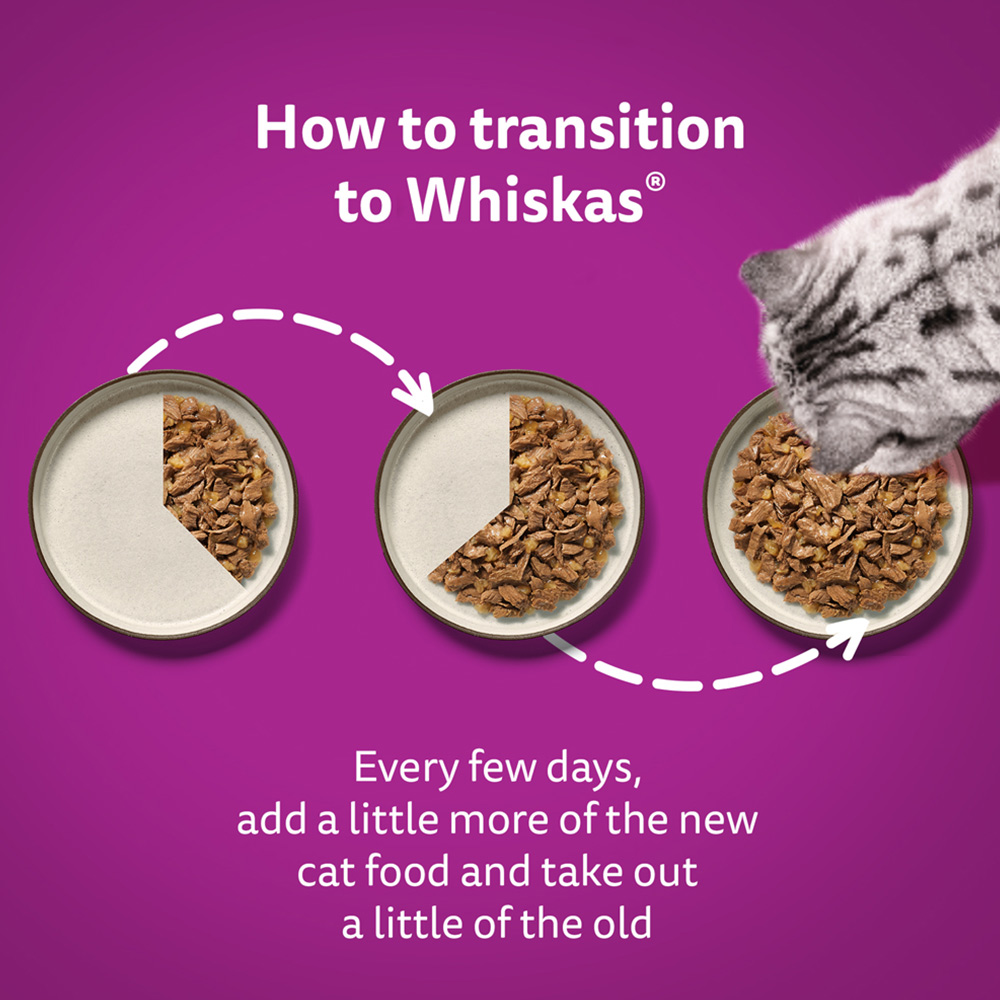 Whiskas Adult Wet Cat Food Pouches Fish Selection in Jelly 80 x 85g Image 7