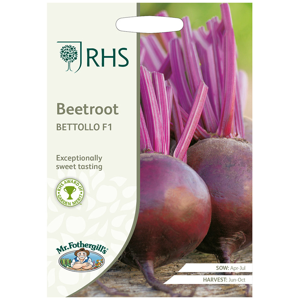 Mr Fothergills RHS Beetroot Bettollo F1 Seeds Image 2