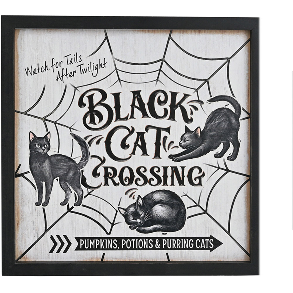 Black Cat Framed Plaque Image 4