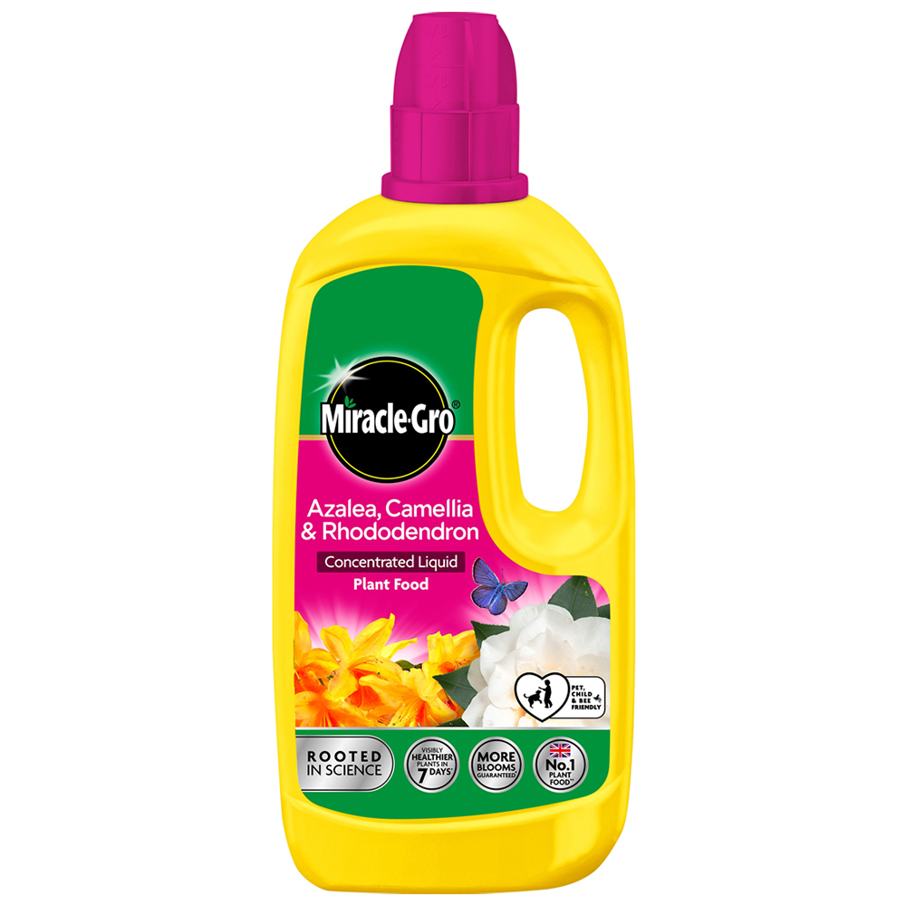 Miracle-Gro Ericaceous Concentrated Liquid Plant Food 800ml Image 1