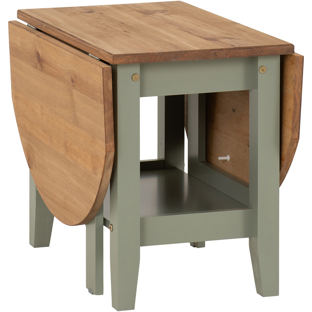 Seconique Santos Single Shelf Drop Leaf Green Distressed Waxed Pine Coffee Table Image 3