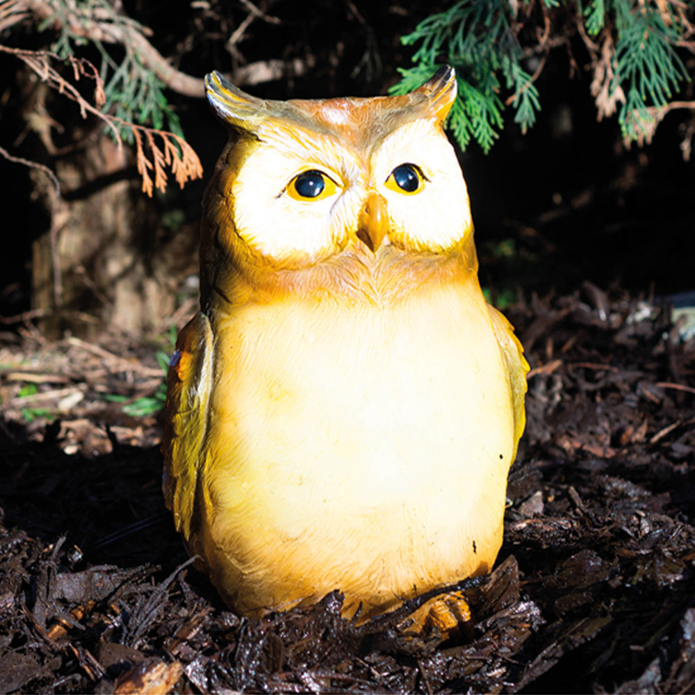 St Helens Female Light Up Owl Ornament Image 3
