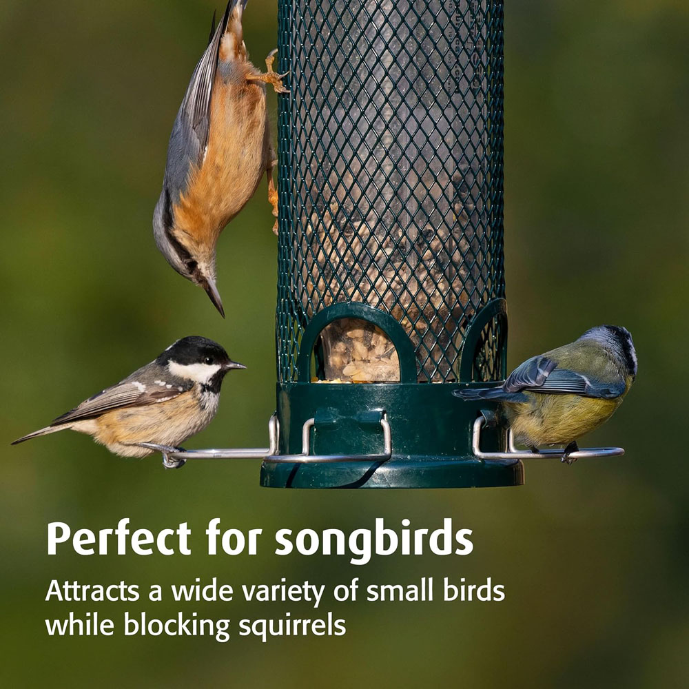Happy Beaks Brome Squirrel Buster Mini Seed Feeder Image 5