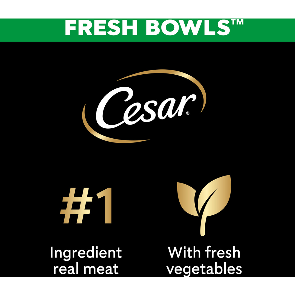 Pack of 6 Cesar Fresh Bowls Image 5