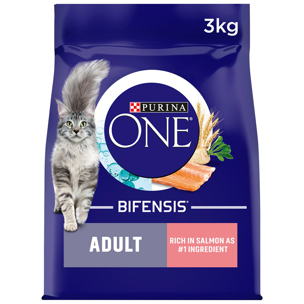 Purina ONE Adult Cat Rich in Salmon Dry Food 3kg Image 1