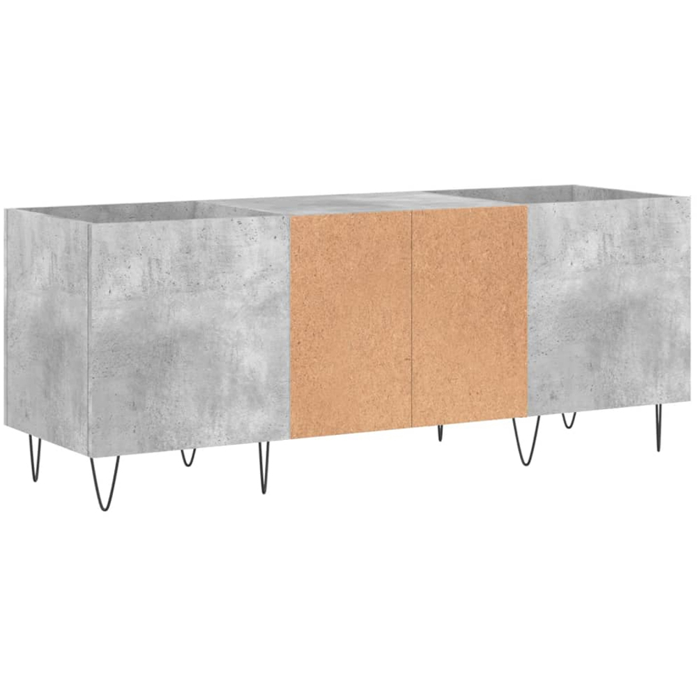vidaXL 2 Shelf Concrete Grey Record Cabinet Image 6