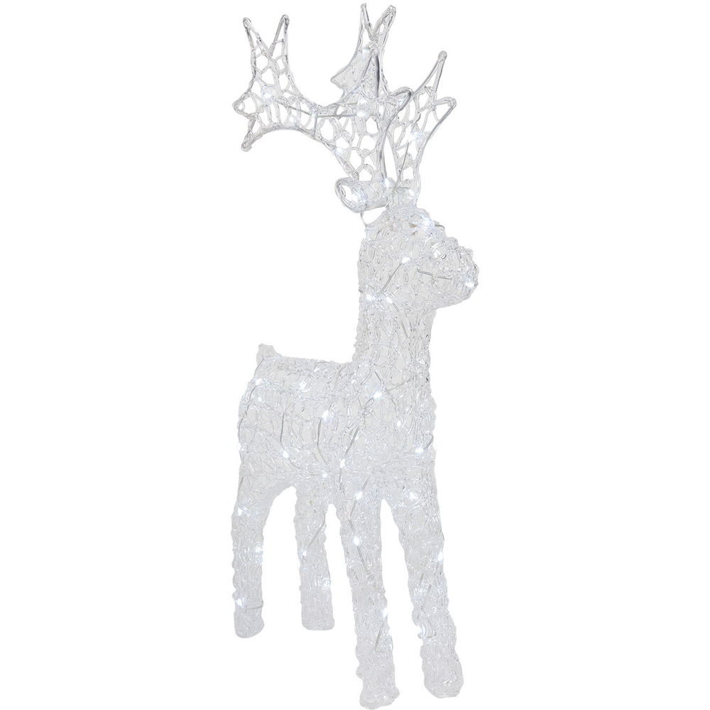 60 LED Acrylic Stag Image 6