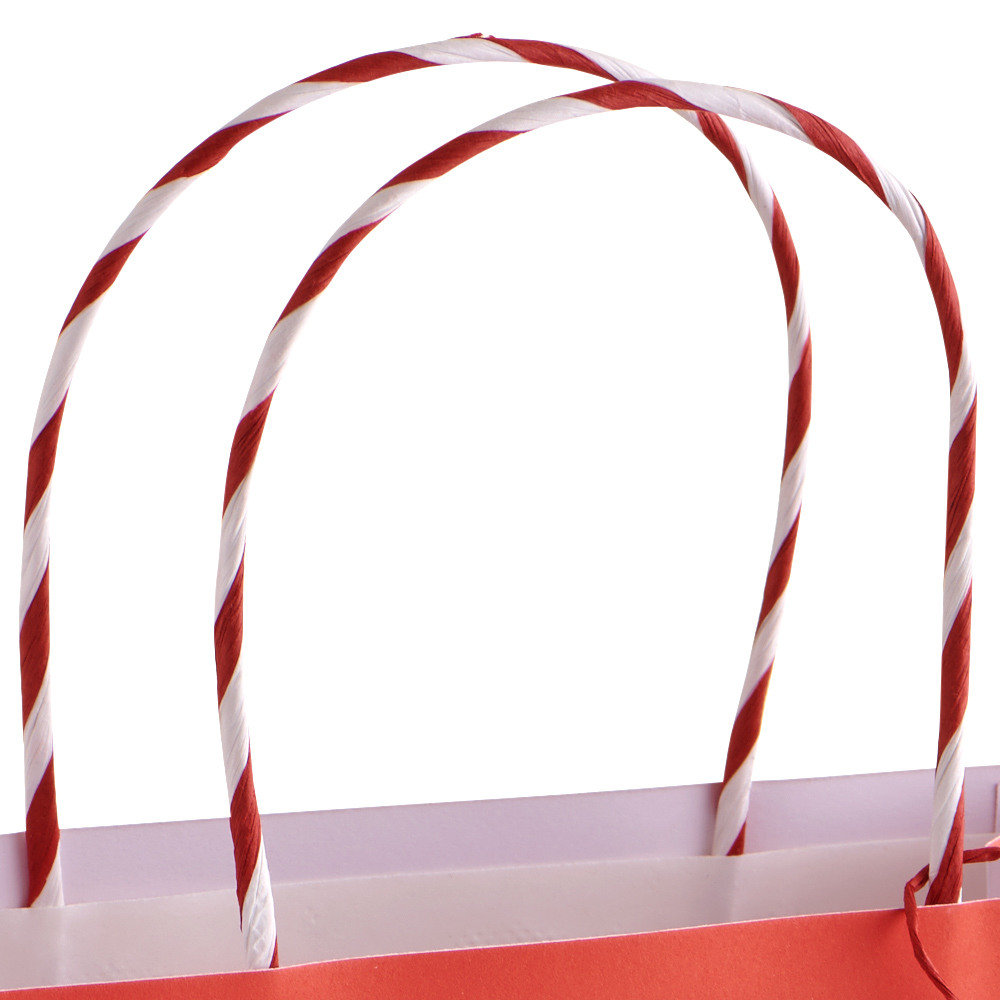 Wilko Festive Joy Medium Santa Gift Bag Wilko