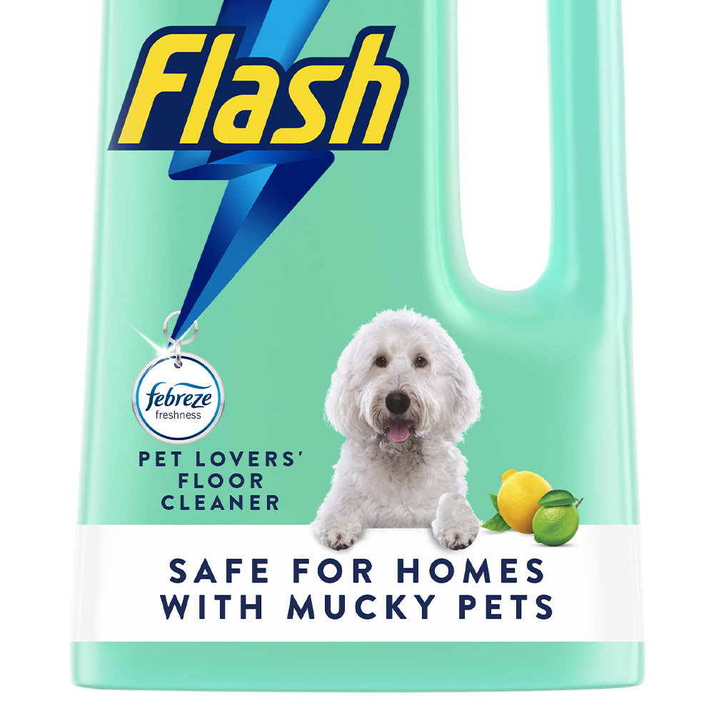 Flash Pet Stain and Odour Remover 1L Image 3