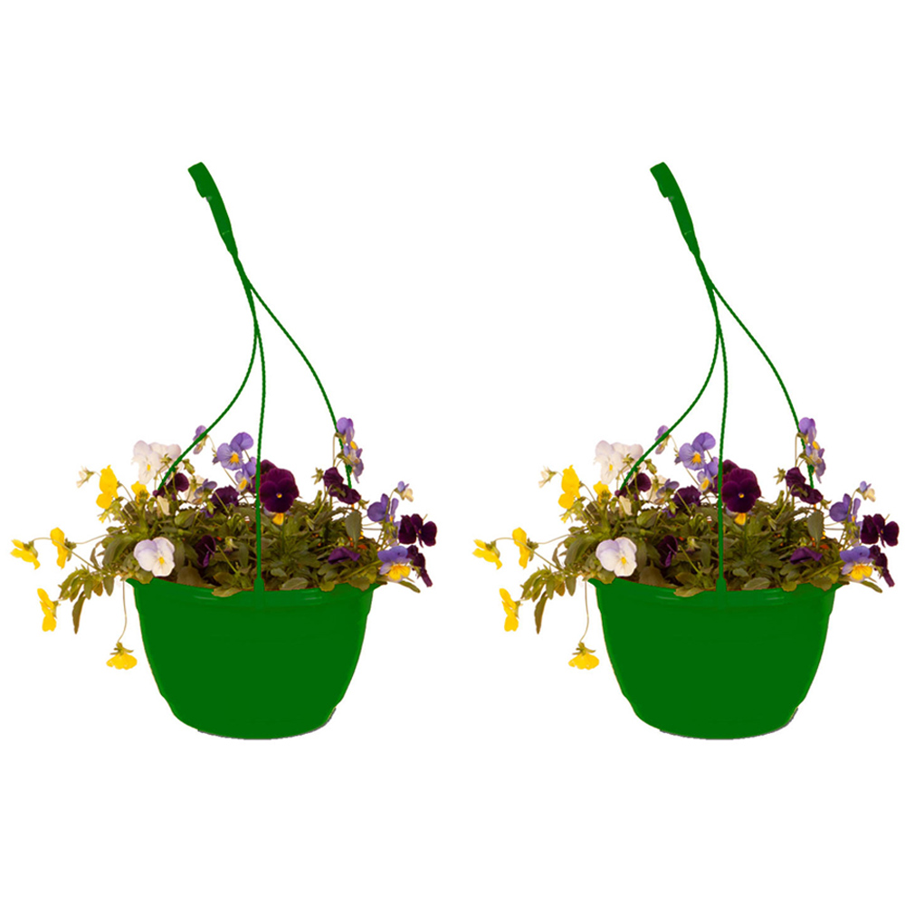wilko 25cm Pansy Cool Wave Hanging Basket 2 Pack Image 1