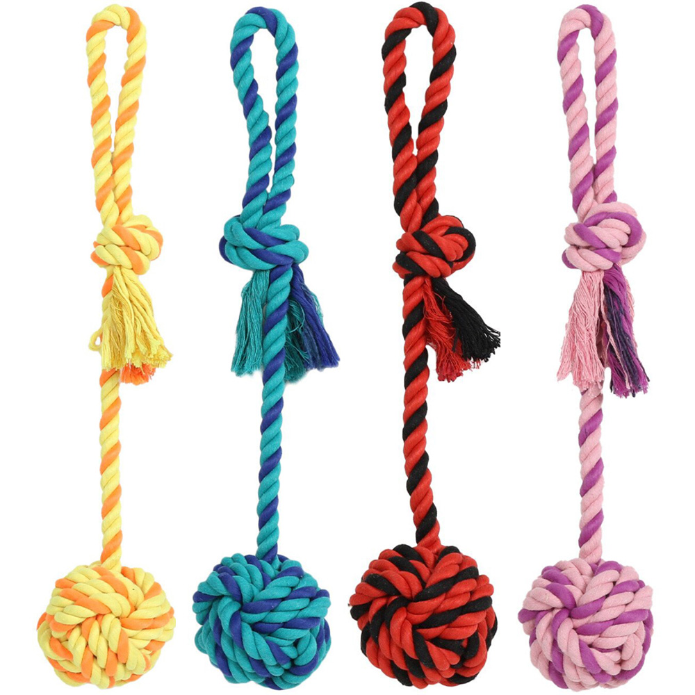 Single Clever Paws Knotted Ball on a Rope Dog Toy in Assorted styles Image 1