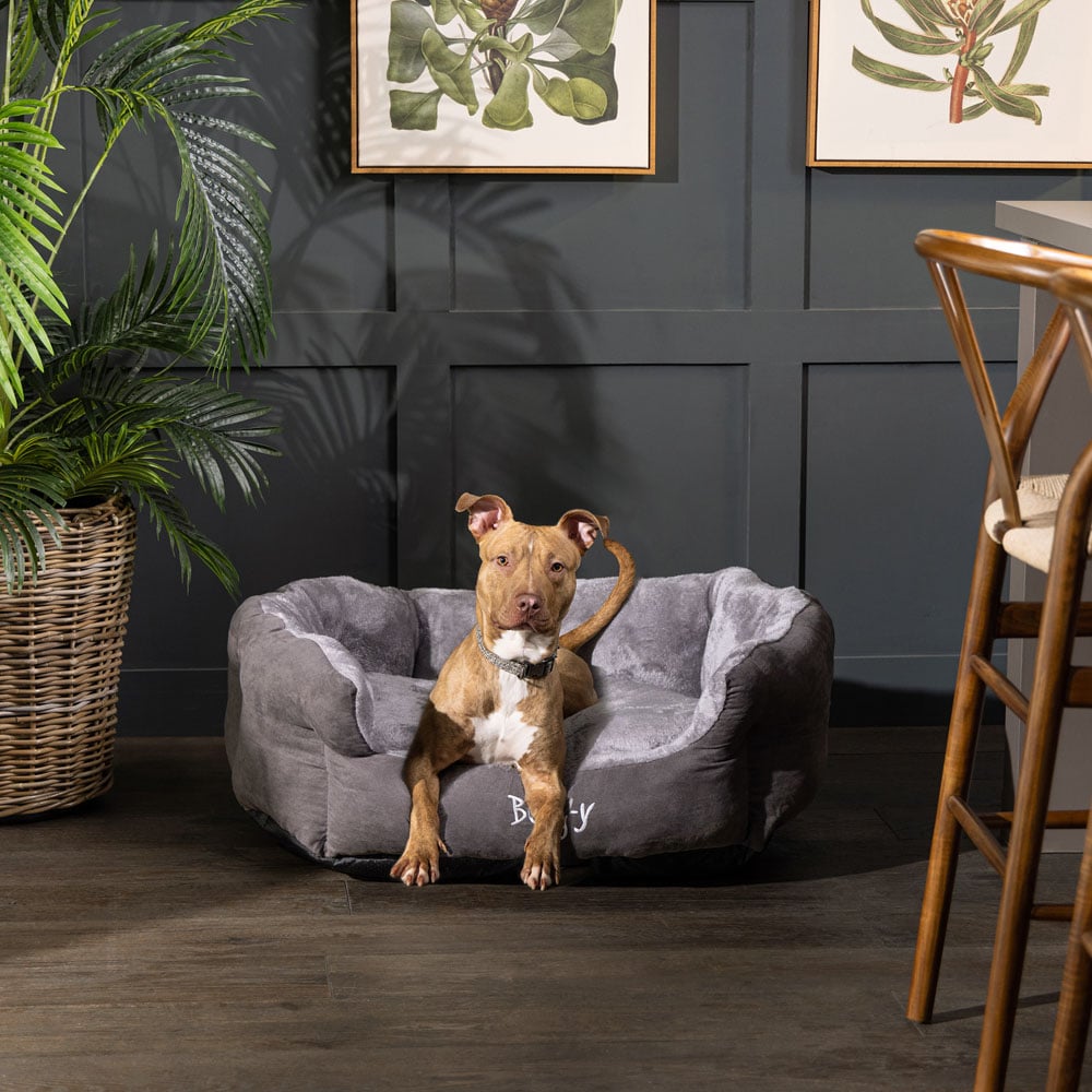 Bunty Polar Extra Large Grey Dog Bed Image 2