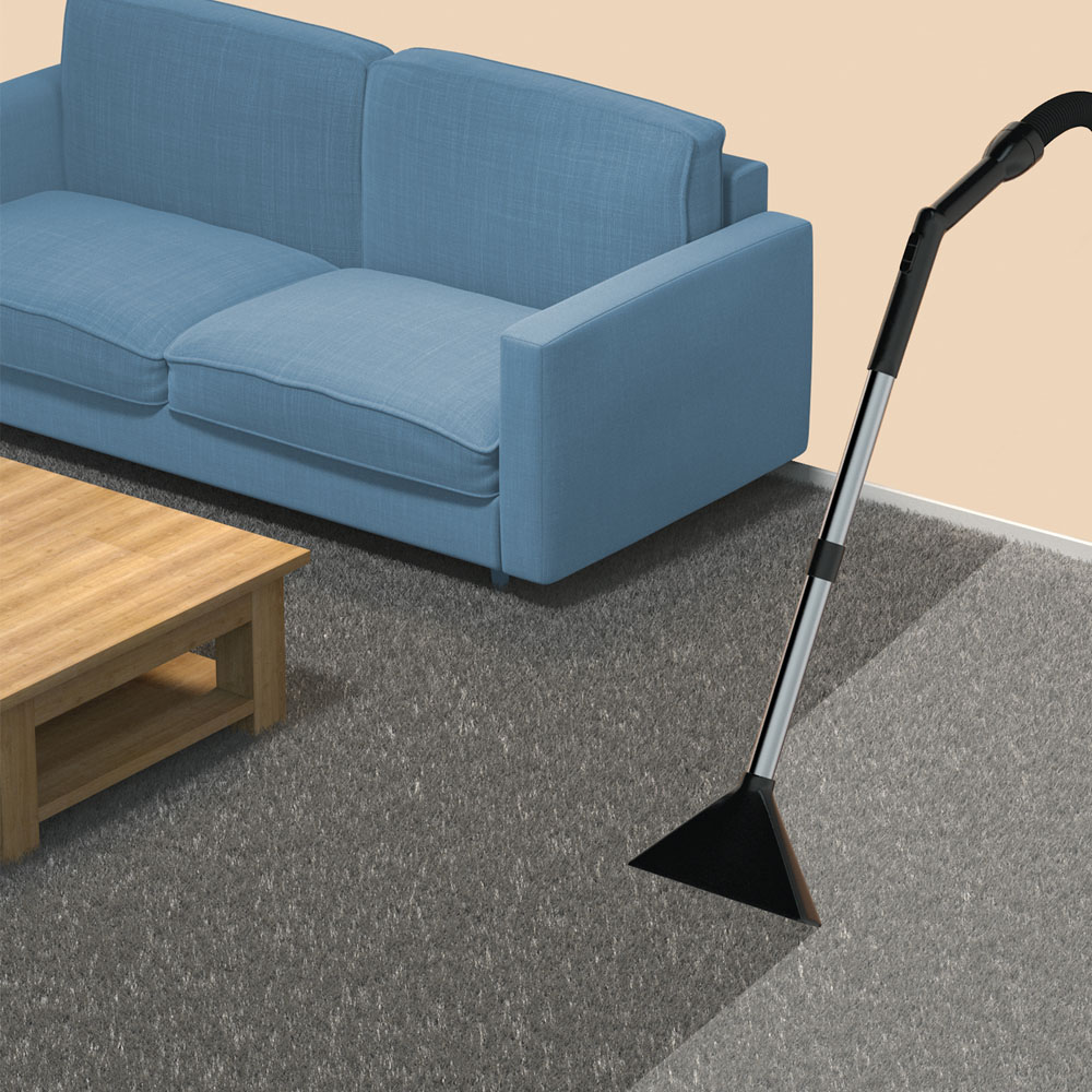 HG Carpet Cleaner 1000ml Wilko