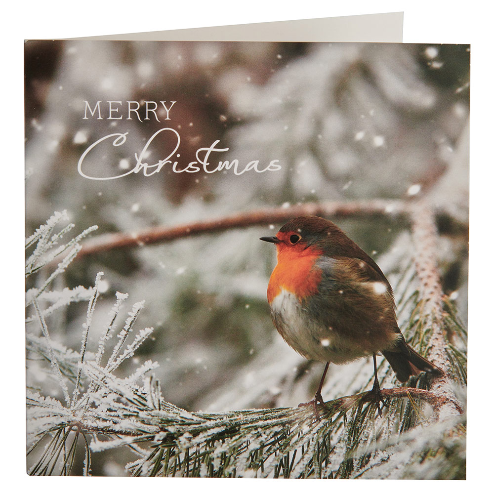 Wilko Traditional Robin Cards 15 Pack Image 2