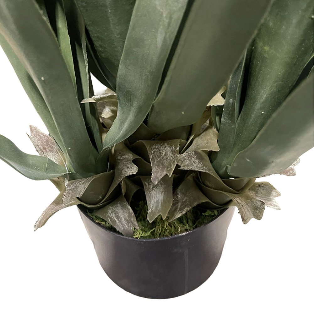 Botanik Yucca Artificial Plant 70cm Image 3
